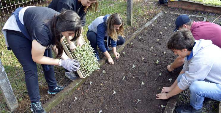 Alunos do IFRS promovem ação solidária na APAE