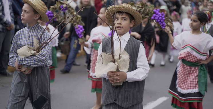Fenavinho celebra a alegria do imigrante com desfile alegórico 