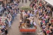 Fenavinho leva à Via del Vino 150 anos de história da imigração italiana