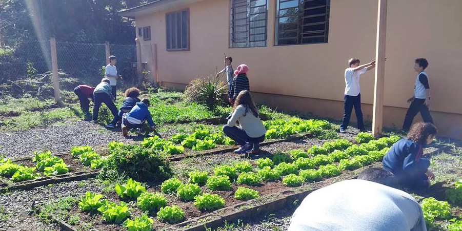Parceiros Voluntários firma convênio com escolas de Monte Belo do Sul pelo projeto Tribos