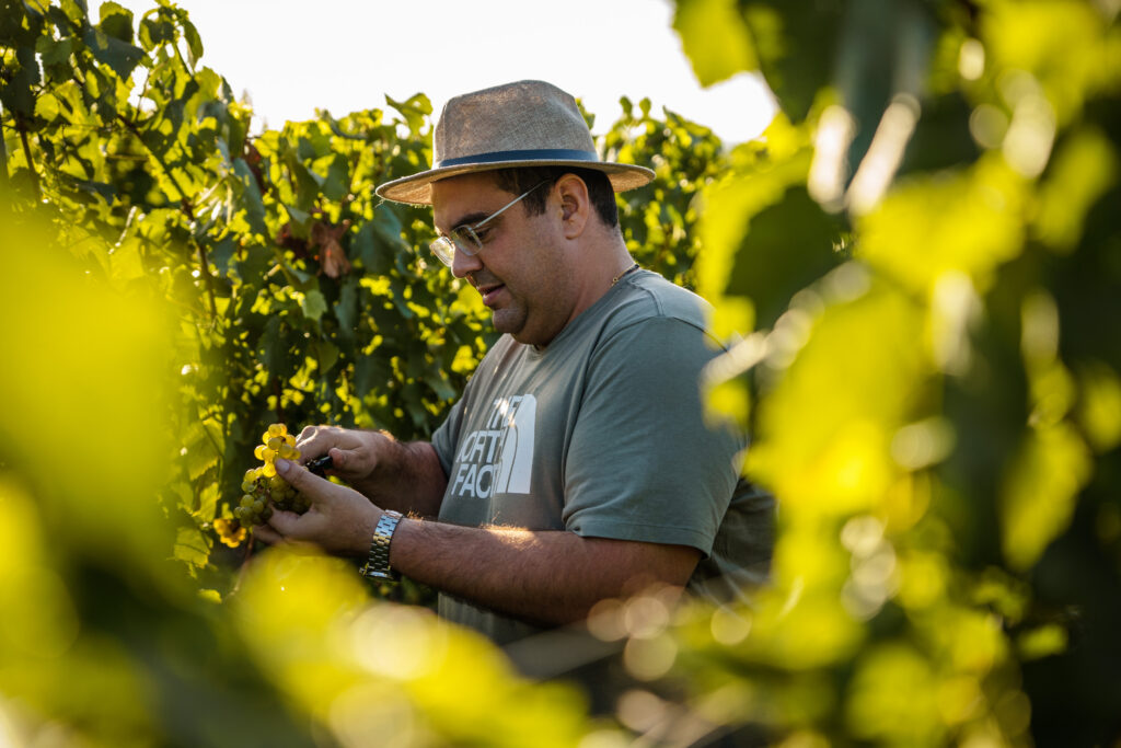 Bodega Iribarrem, um vinícola que elabora e comercializa vinhos de alto padrão